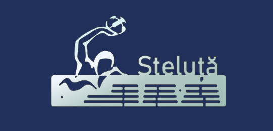 POLO 40CM CROM OGLINDA