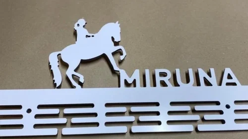 echitatie hipism calarie medalii