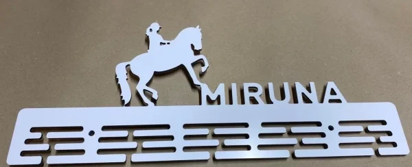 echitatie hipism calarie medalii